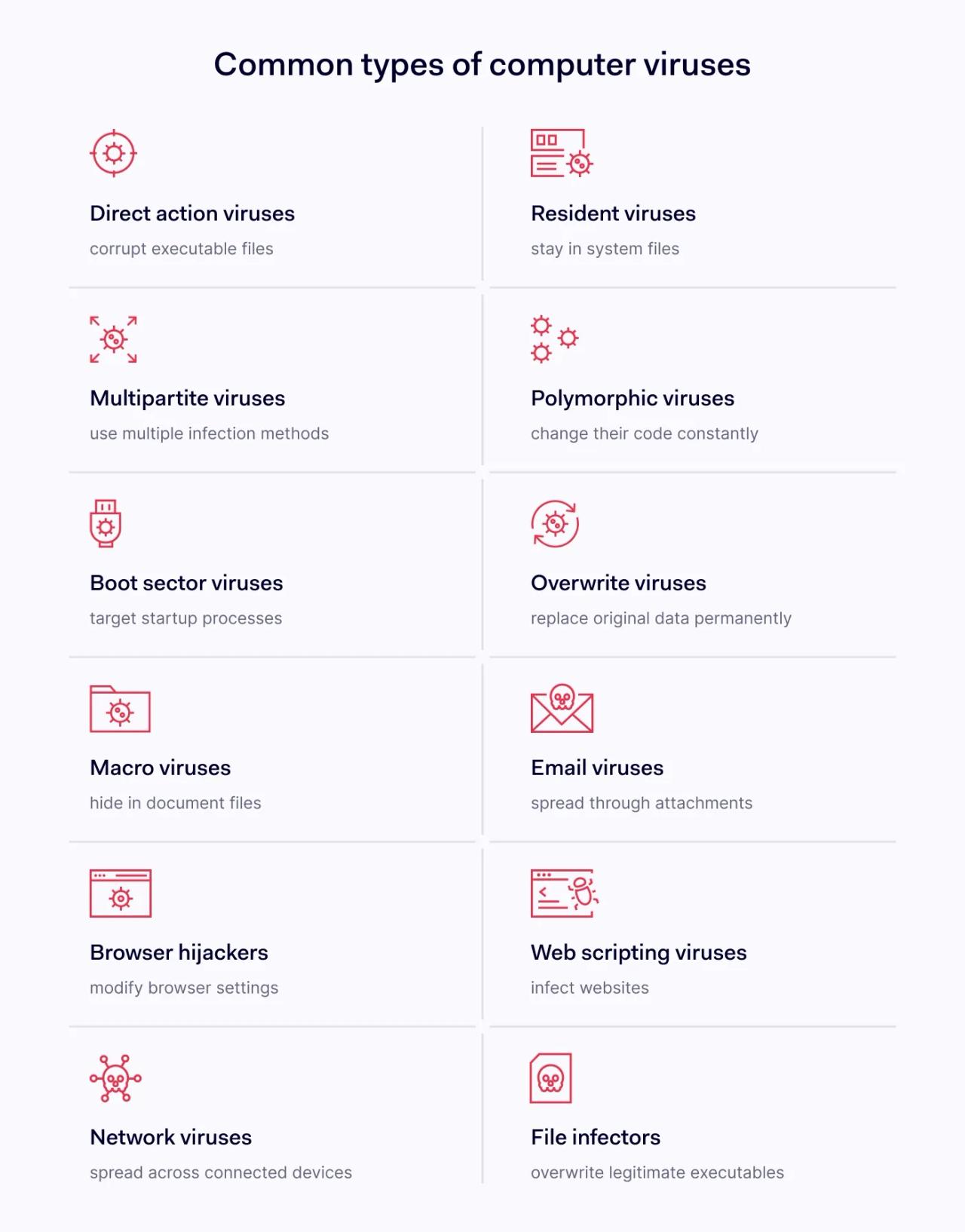 Common types of computer viruses