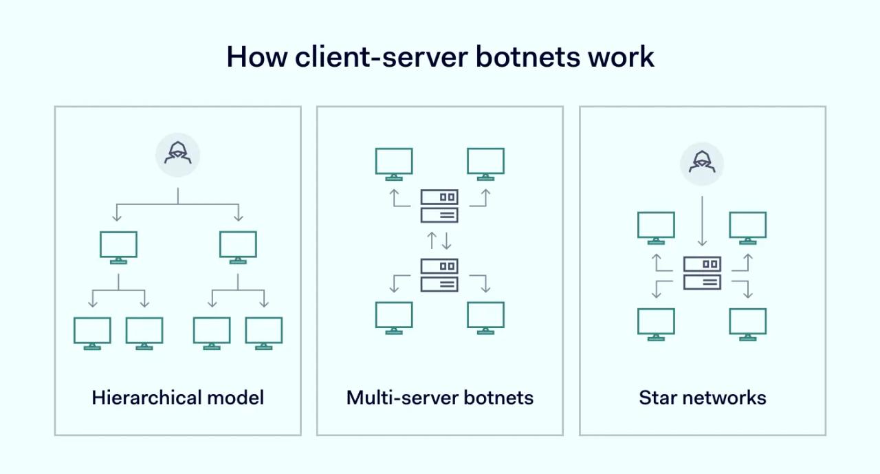 How client-server botnets work