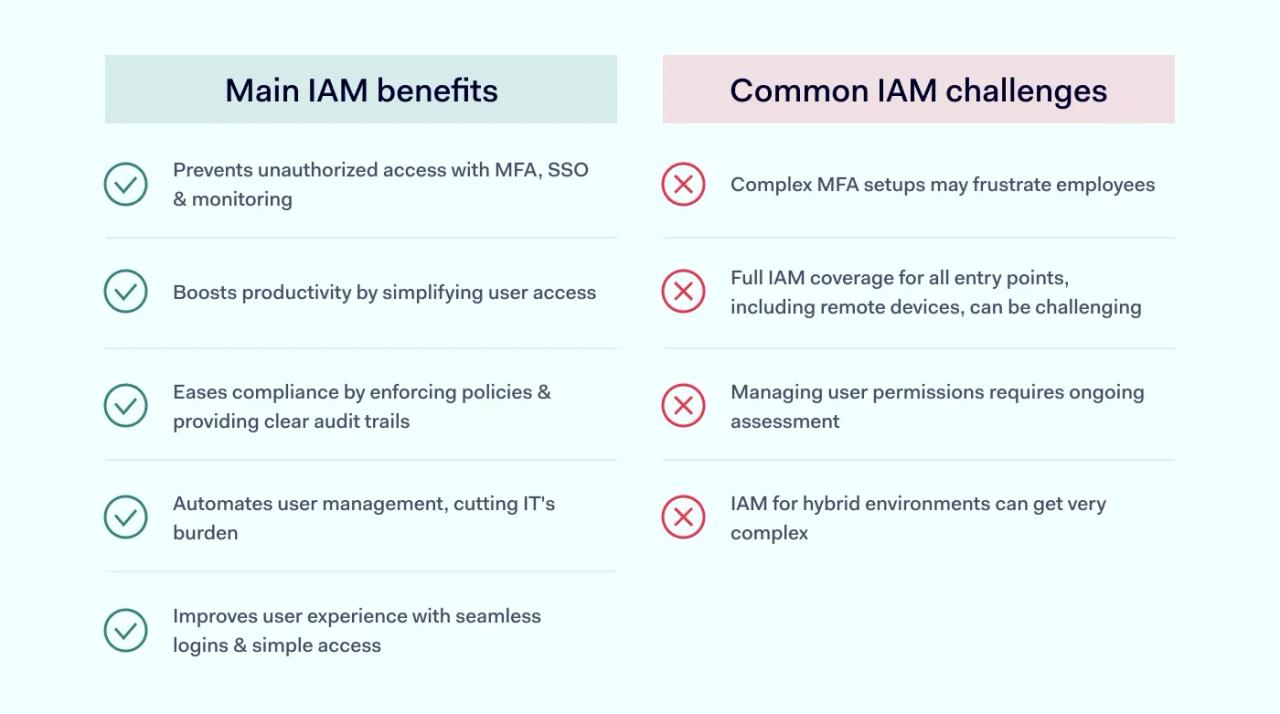 IAM benefits and challenges