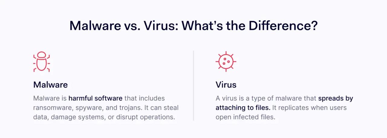 Malware vs. Virus_ What’s the Difference