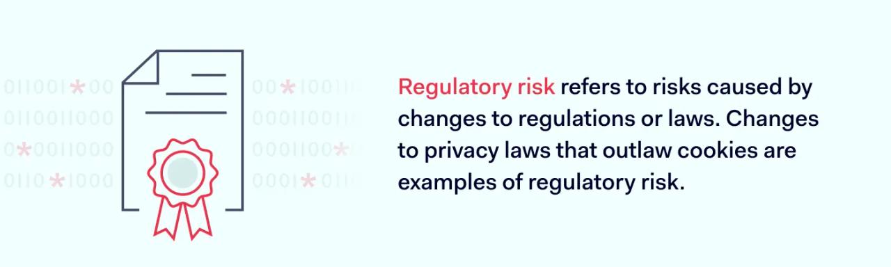 Regulatory risk definition